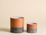 une photo montrant deux vases posés sur une table