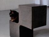 un chat assis dans une boîte posée par terre