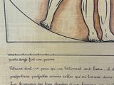 a drawing of a human figure on a piece of paper