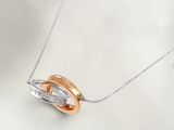 un gros plan d'un collier orné de deux anneaux