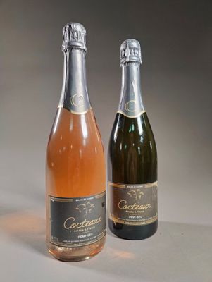 deux bouteilles de vin posées l'une à côté de l'autre sur une table