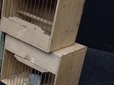 three wooden cages with birds inside of them on a black surface