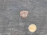 a picture of a piece of wood with a coin on it