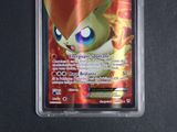 an image of a pokemon card in a plastic case