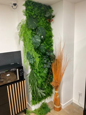 a tall green plant growing on the wall next to a broom