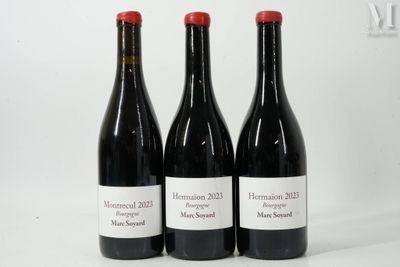 trois bouteilles de vin rouge sont alignées sur une surface blanche