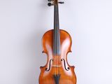 a close up of a violin on a white background