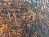 a close up of a metal object with a brown patt