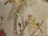two birds sitting on a branch of a tree