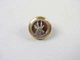 a close up of a gold and silver button on a white surface