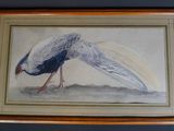 painting of a peacock in a frame hanging on a wall