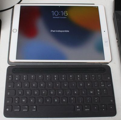 NON VENU - Tablette tactile APPLE IPAD PRO Or 10.5 256 Go, n…