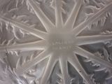 an image of a glass plate with a design on it