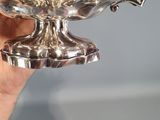 a person holding a silver bowl in their hand