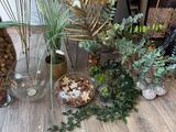 many different types of plants in vases on the table