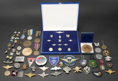 un assortiment de pin's et de médailles militaires dans un étui bleu