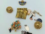 un assortiment de bijoux, notamment des broches et des boucles d'oreilles