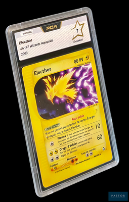 une image d'une carte Pokémon dans un étui en plastique