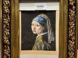 an oil painting of a girl with a pearl ear in a gold frame