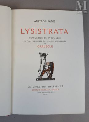 un livre ouvert sur lequel est dessiné un chat