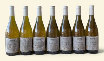 six bottles of wine are lined up in a row on a white surface
