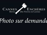 Photo 1/1 du lot