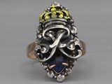 an image of a ring with a crown on top of it