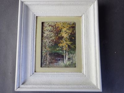 une photo d'une photo d'un banc dans les bois