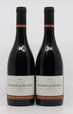 deux bouteilles de vin rouge posées l'une à côté de l'autre sur une surface blanche