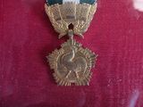 a gold medal with a green and white ribbon on it