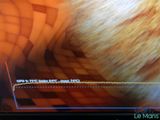 a cat that is sitting on a television screen