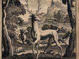 un vieux livre avec une illustration représentant un cerf et d'autres animaux
