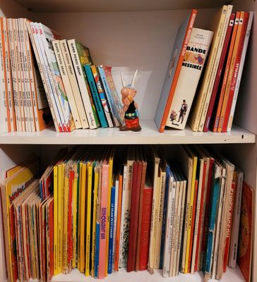 [BD] Lot important de BD et livres enfants (3 cartons) - Photo 1