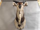 a fake antelope that is sitting on a table