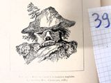 une photo d'un livre sur lequel figure le dessin d'un homme coiffé d'un chapeau