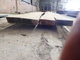 a large piece of wood that is laying on the ground