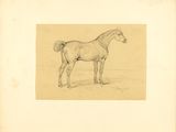 un vieux dessin représentant un cheval debout dans un champ, avec le ciel en arrière-plan