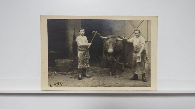 Guéret : Carte-Photo rare : Abattoir de Guéret (Inscription au do...