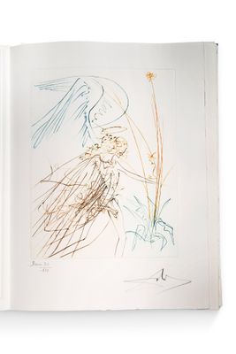 un livre sur lequel figure le dessin d'une femme en robe
