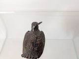 a small bird that is sitting on a glass shelf