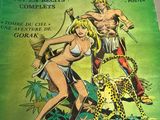 un gros plan d'une bande dessinée posée sur une table