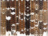 many different types of moths displayed in a white frame