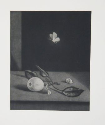 dessin représentant une nature morte avec un papillon et une pêche posés sur une table