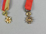 two medals are shown on a gray surface with a red ribbon