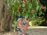 a blue vase with pink flowers in it on the ground
