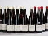 six bouteilles de vin rouge alignées sur une surface blanche