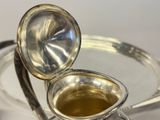 a silver tea pot with a tea strainer on it