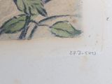 a drawing of a bird sitting on a tree branch
