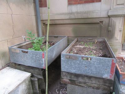 deux jardinières métalliques contenant des plantes, placées sur le côté d'un immeuble