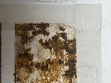 a picture of a piece of paper with rust on it